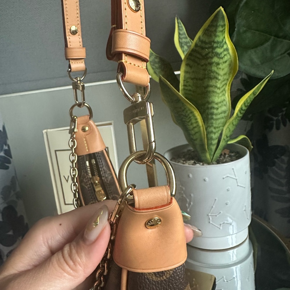 Louis Vuitton Monogram Mini Loop Shoulder Bag - Picture 5 of 11